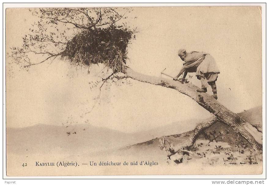 cpa Algerie Kabylie Kabyle un denicheur de nid d´aigles