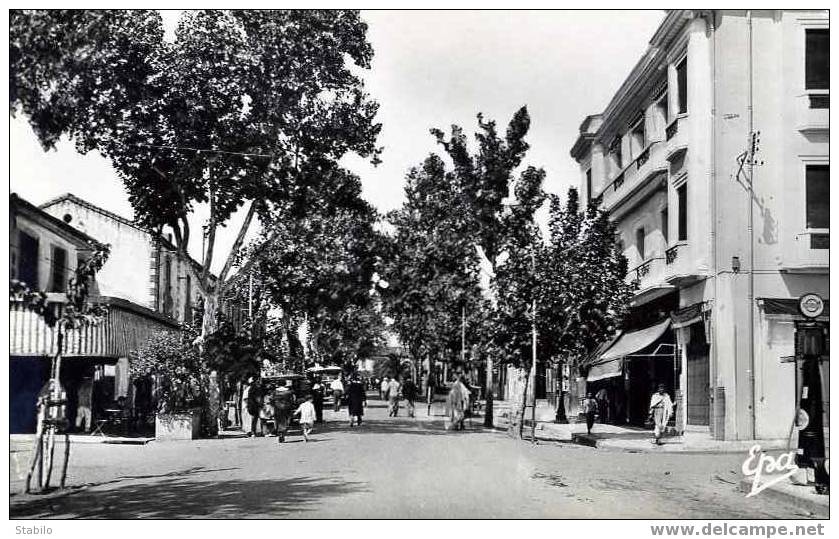 ALGERIE - TIZI OUZOU - GRANDE RUE N° 40 -  POMPE A ESSENCE