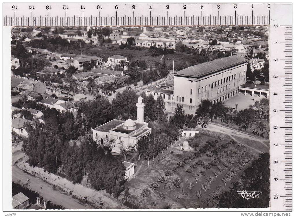 TIZI OUZOU  -  Vue Aérienne sur la Mosquée et Collège Moderne - n°  7 A