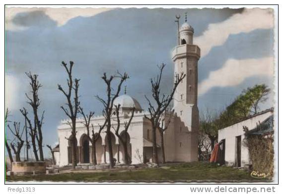 Tizi Ouzou - Nouvelle Mosquee