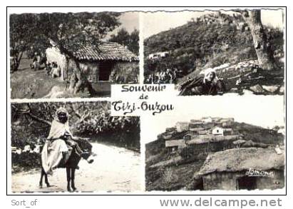 TIZI OUZOU - SOUVENIR - MULTI VUE  - CPSM  A85