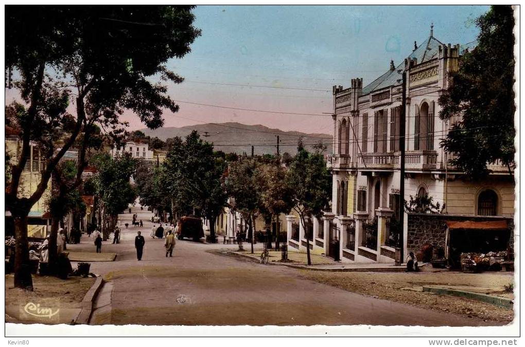 Algérie Tizi Ouzou Boulevard Beauprétre et Banque de l'Algérie cpa animée cpuleur