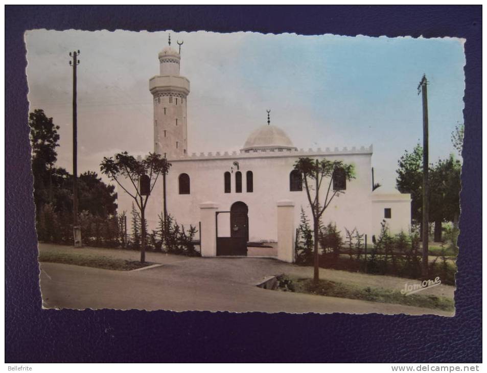 Carte photo Tizi Ouzou Algerie - La nouvelle Mosquee - religion Musulman