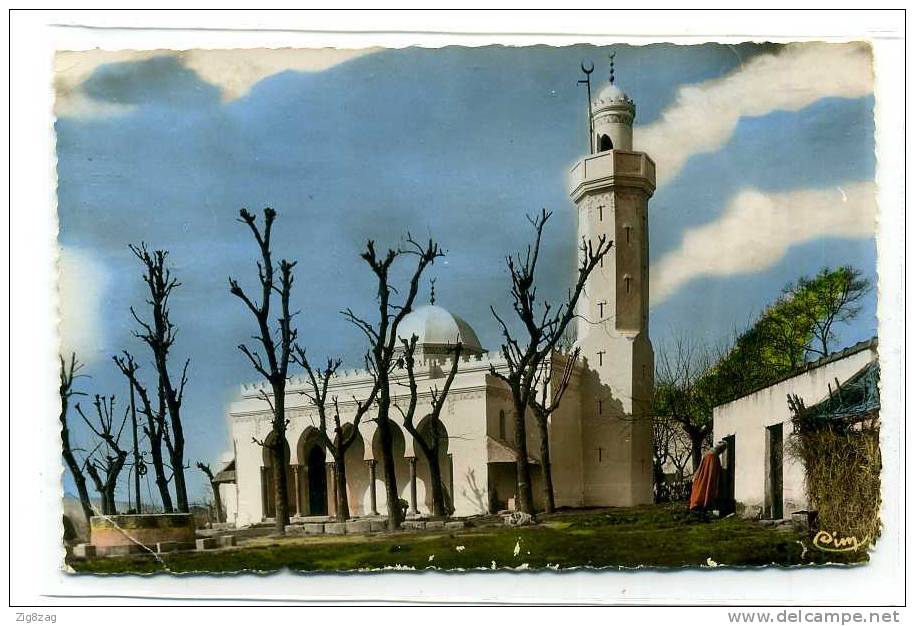 TIZI OUZOU LA NOUVELLE MOSQUEE