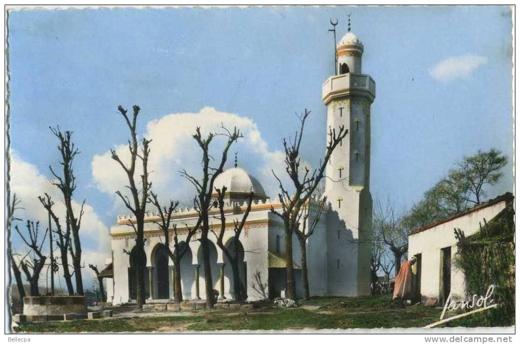 Algérie Tizi Ouzou La Nouvelle Mosquée Cpsm