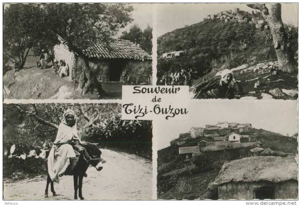 Algérie Tizi Ouzou Multivues Cpsm
