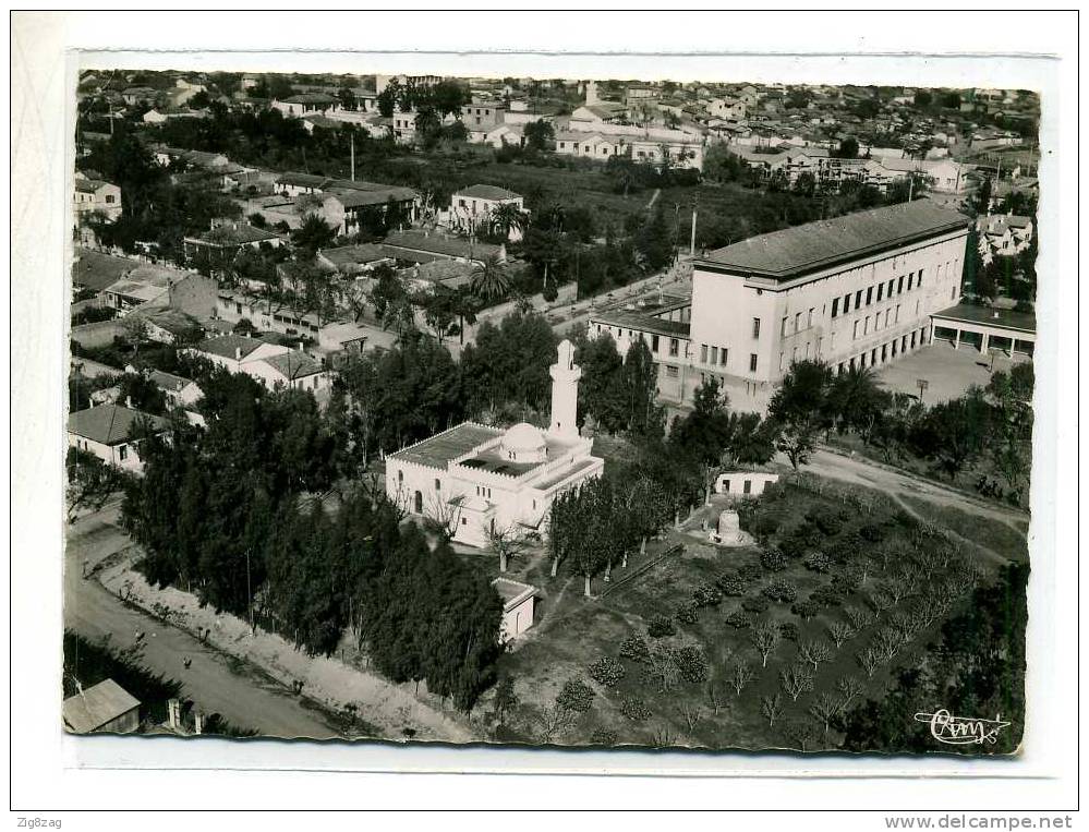 TIZI OUZOU VUE AERIENNE SUR LA MOQUEE ET COLLEGE MODERNE
