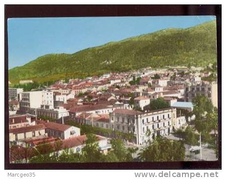 29003 tizi ouzou grande kabylie vue générale édit.JOMONE n° 201 belle cpsm