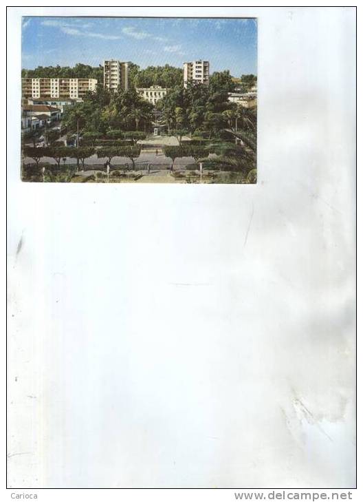 CP MODERNE TIZI OUZOU