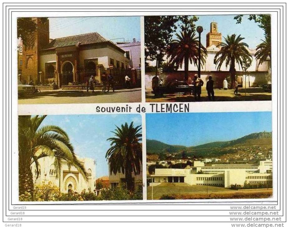 (algérie)  SOUVENIR DE TLEMCEN.