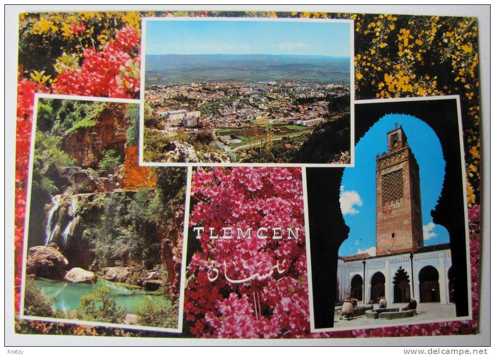 ALGERIE - TLEMCEN - Vues