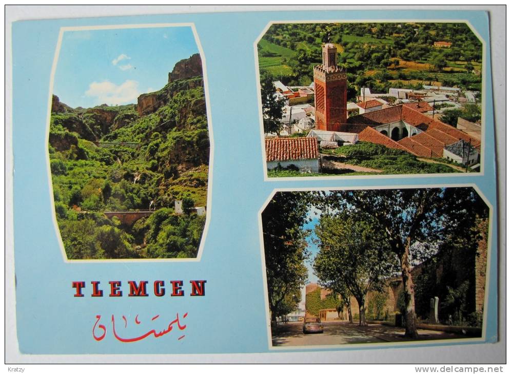 ALGERIE - TLEMCEN - Vues