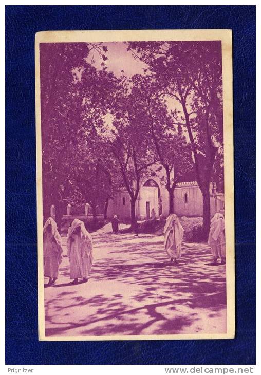 ALGERIE / ALGERIEN     Tlemcen  Sur la route du cimetiere indigene