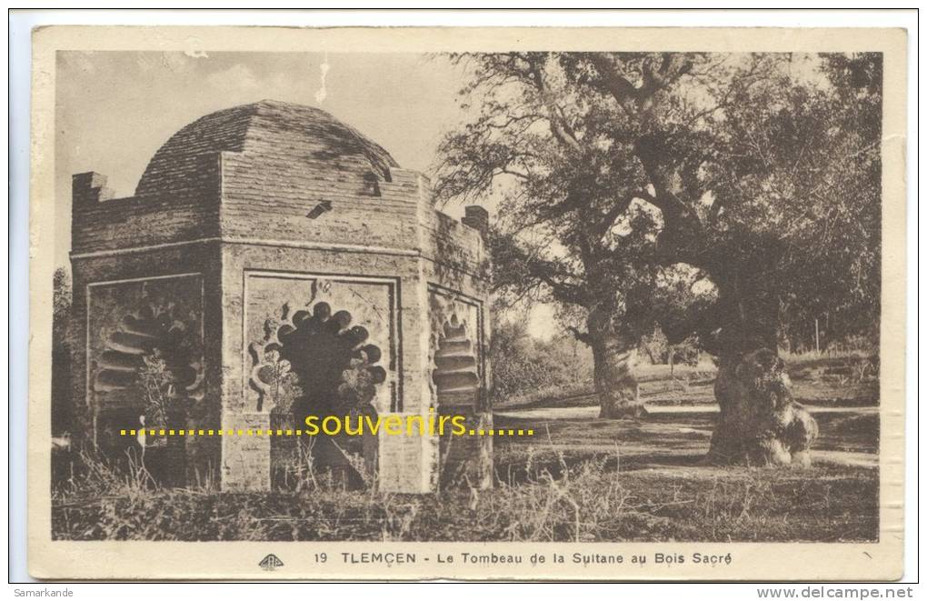 CPA   ALGERIE  TLEMCEN  le Tombeau de la Sultane au Bois sacré ** prix fixe **
