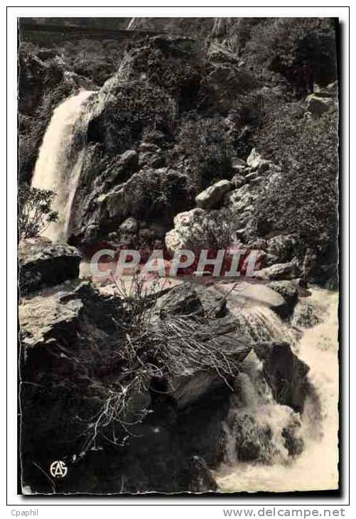 CPA Tlemcen Les Cascades du Meffrouch