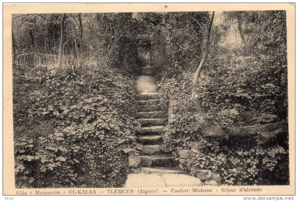 TLEMCEN- Villa Marguerite  EL KALAA