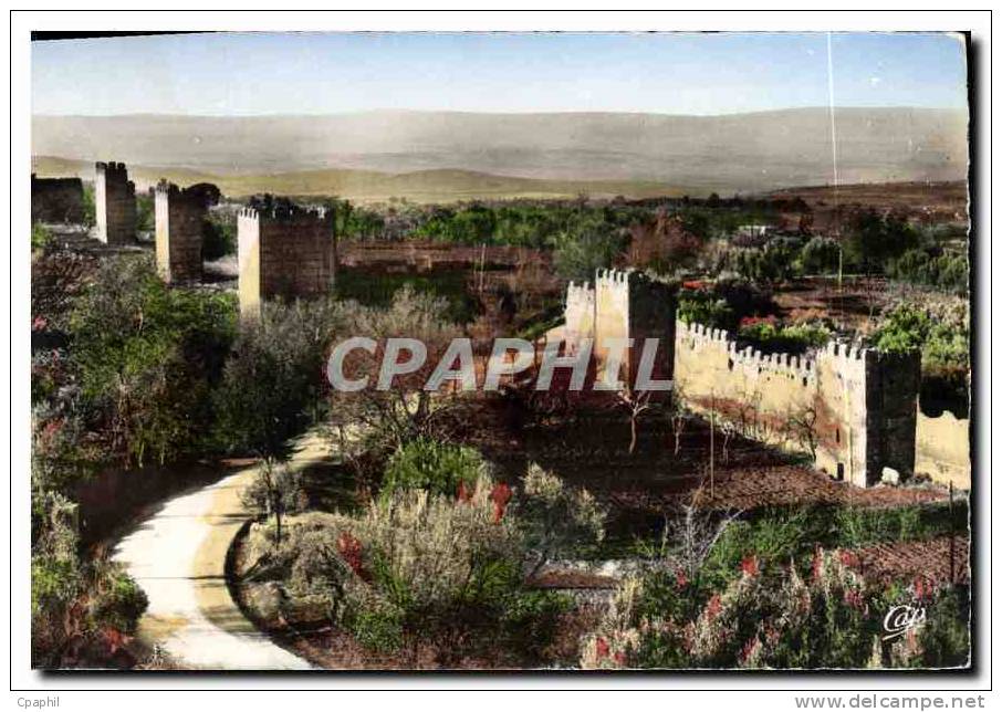 CPA Tlemcen Anciens Remparts de Mansourah