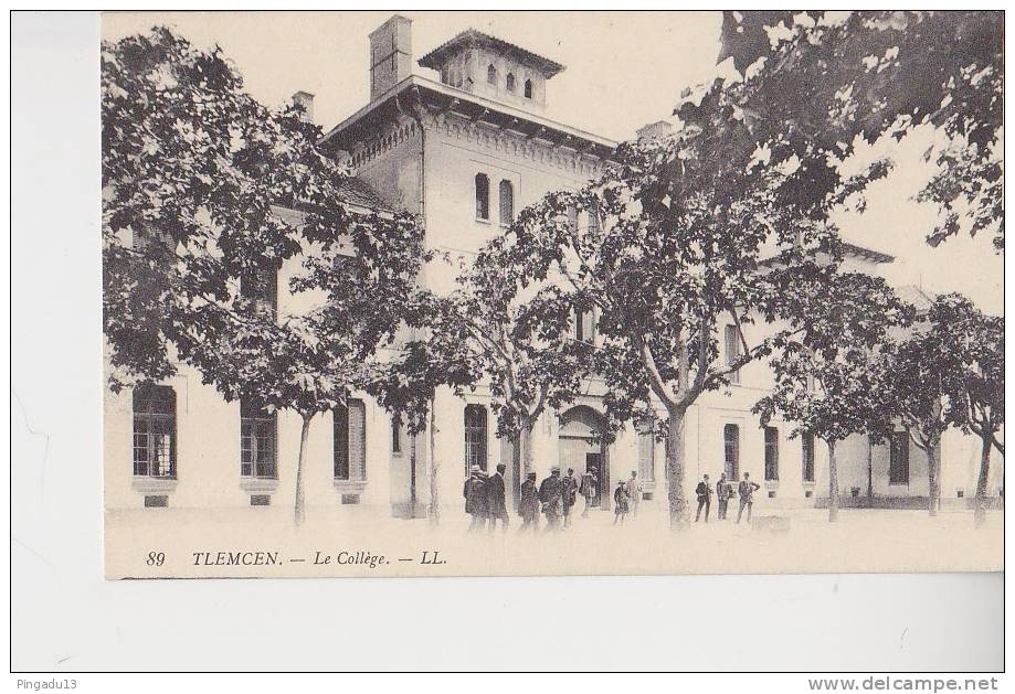 Tlemcen Le Collège animation