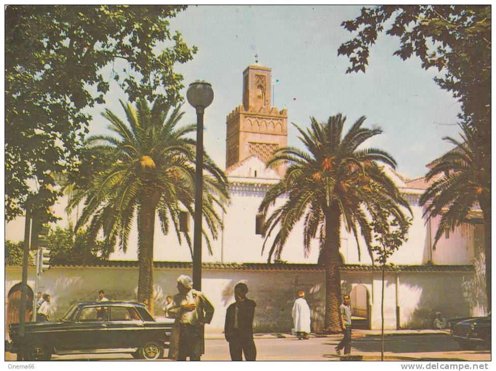 TLEMCEN - La Grande Mosquée
