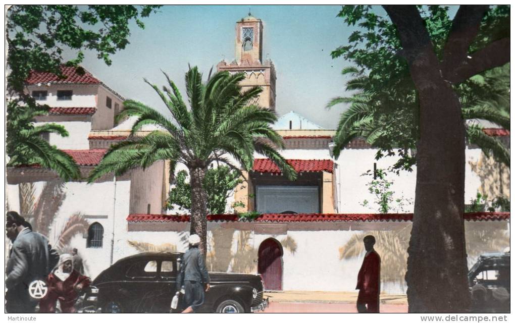 - CPSM - TLEMCEN - La Grande Mosquée - 673