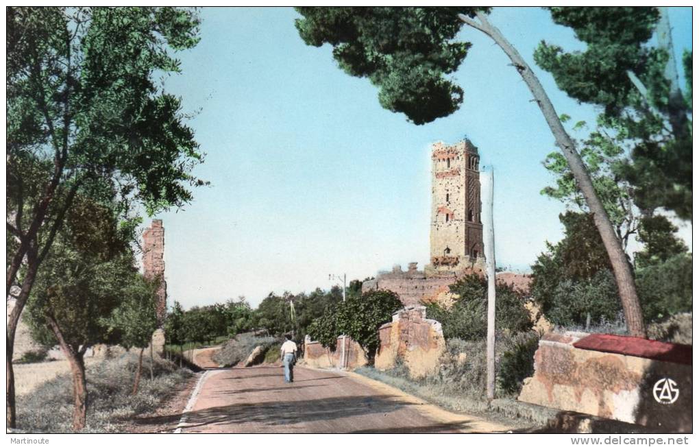 - CPSM - TLEMCEN - Les Ruines de Mansourah - 670