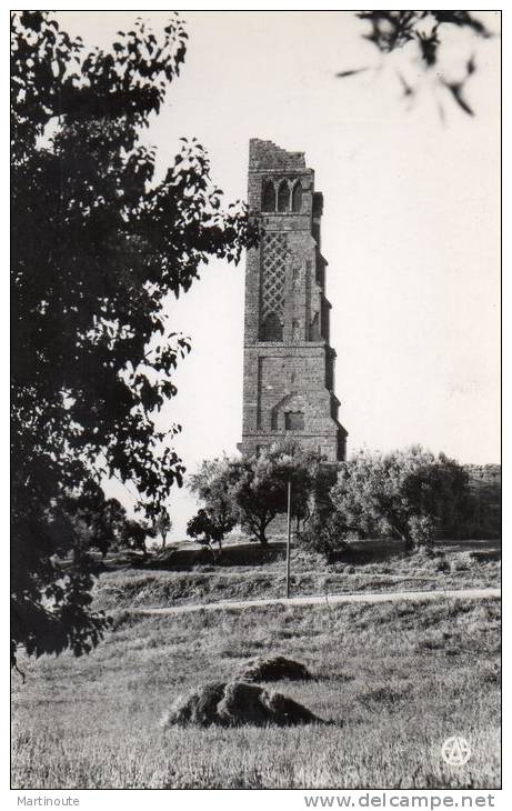 - CPSM - TLEMCEN - La Tour de Mansourah - 669