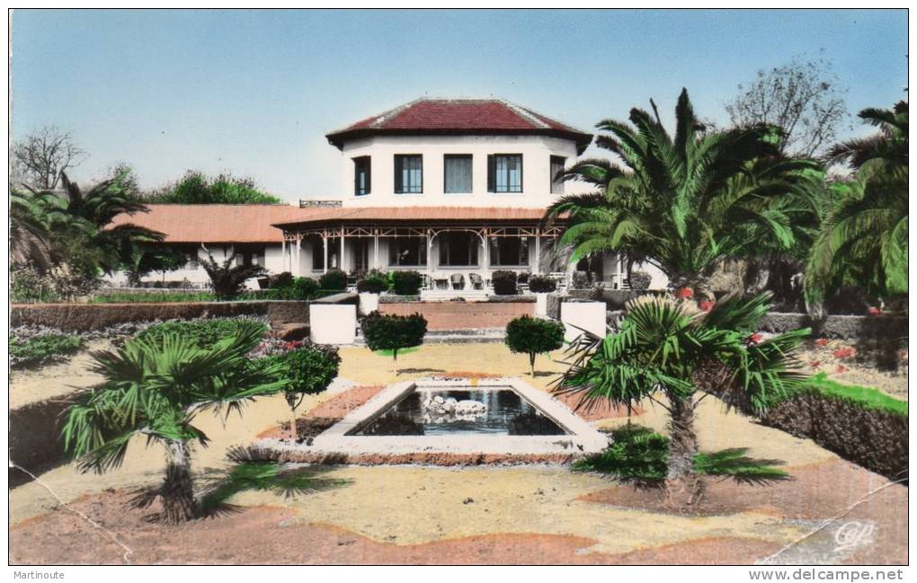 - CPSM - TLEMCEN - Jardin de l'Hôtel Transatlantique - pli à 2 coins - 668