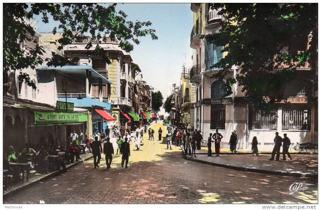 - CPSM - TLEMCEN - Rue de France - 667