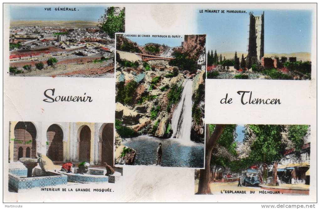 - CPSM - TLEMCEN - Multivues - 666