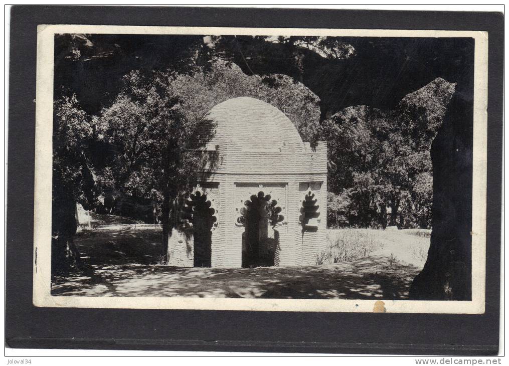 Algérie - TLEMCEN SIDI YACOUB - Marabout