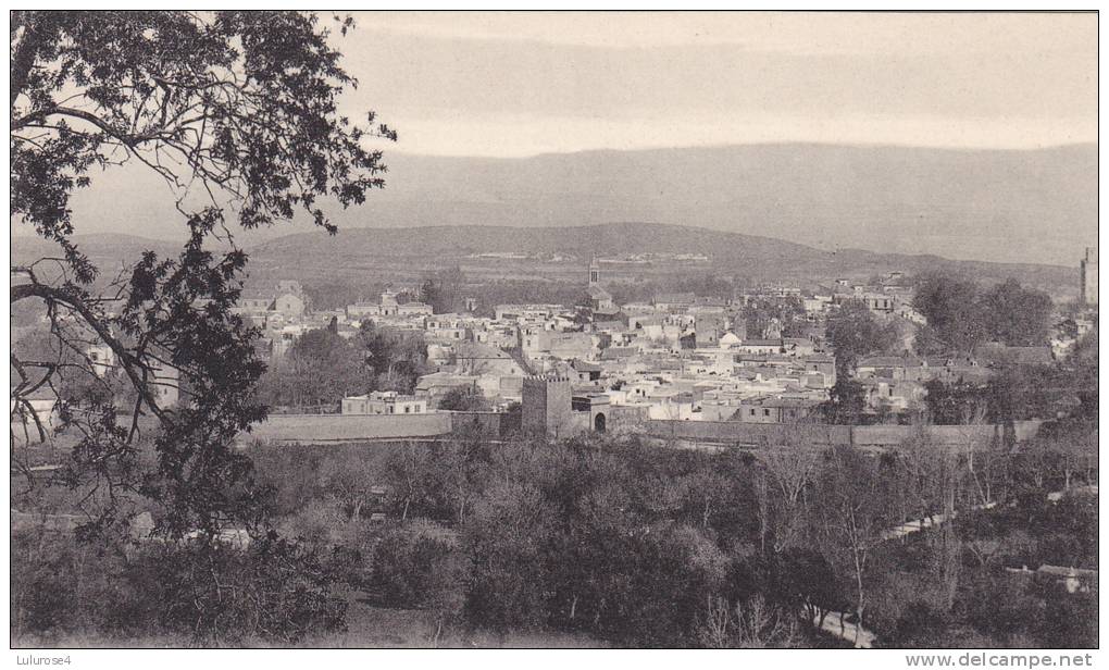 CPA  AFRIQUE. ALGERIE.TLMENCEN. VUE GENERALE