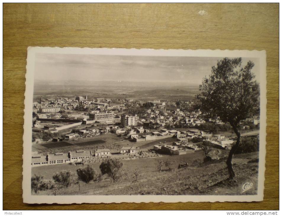 Alger // Tlemcen / Vue Generale 1958