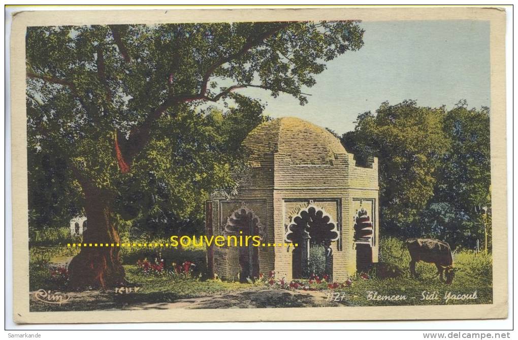 CPA   ALGERIE  TLEMCEN   Sidi Yacoub - ** prix nets **