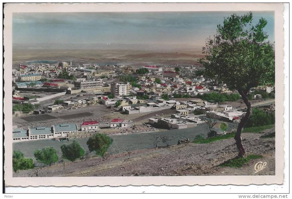 ALGERIE - TLEMCEN - Vue générale