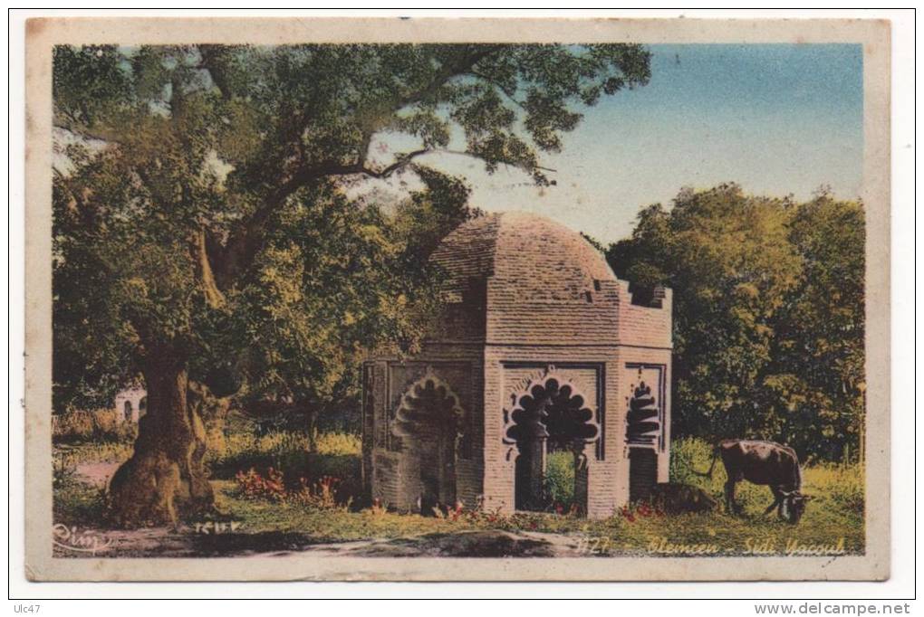 - TLEMCEN (Oran) - Sidi Yacoub. -