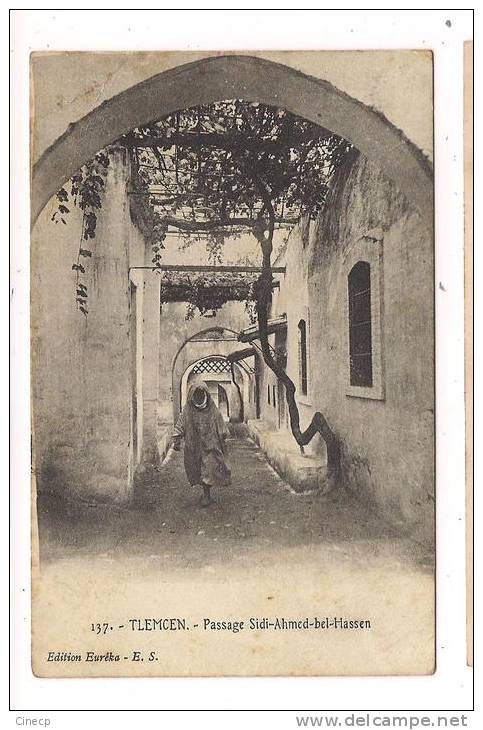 CPA ALGERIE - TLEMCEN - Passage Sidi-Ahmed-bel-Hassen - TB Plan d'une toute petite rue avec animation
