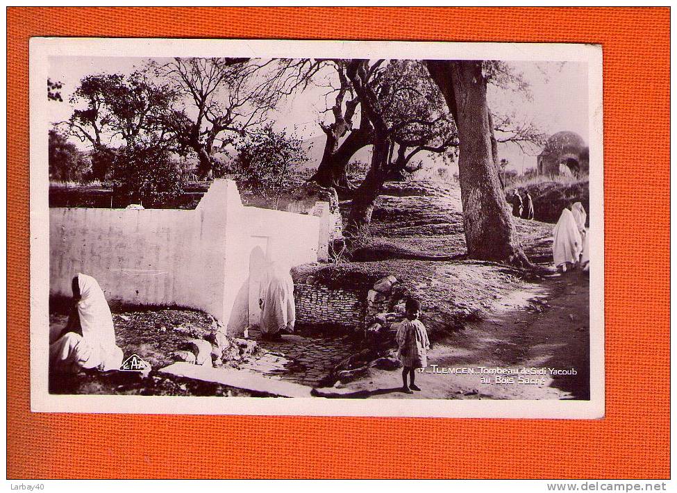 1 cpa tlemcen tombeau de sidi yacoub au bois sacre