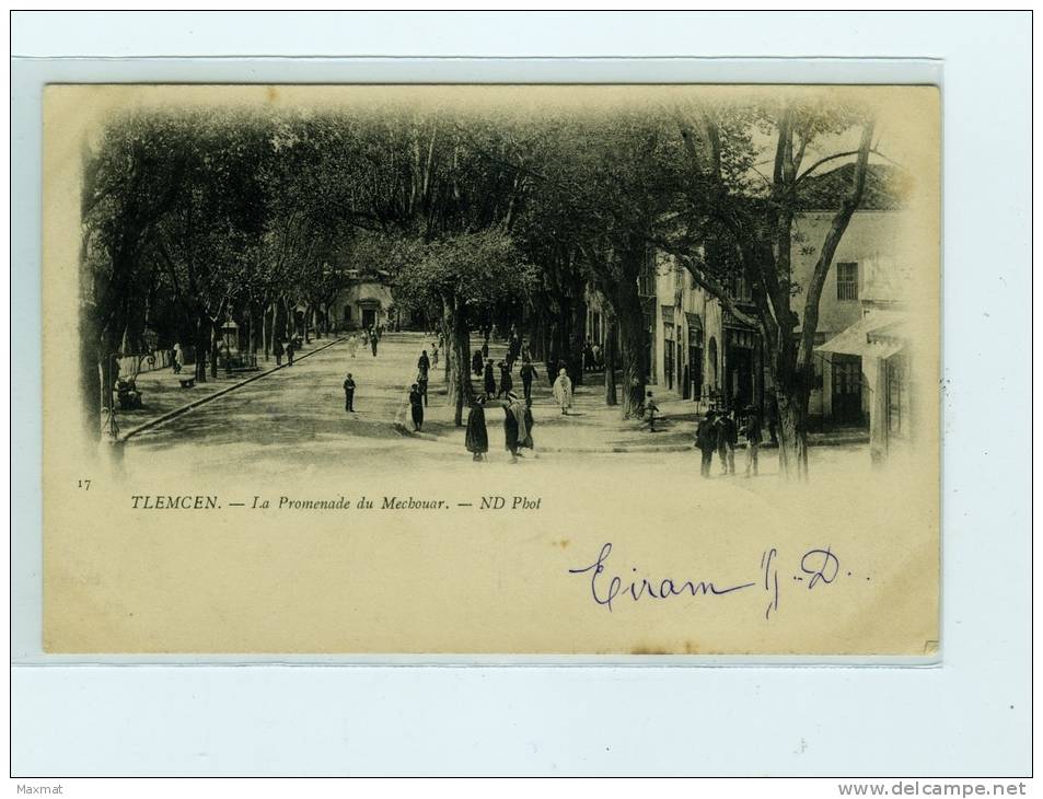 TLEMCEN  la Promenade du mechouar
