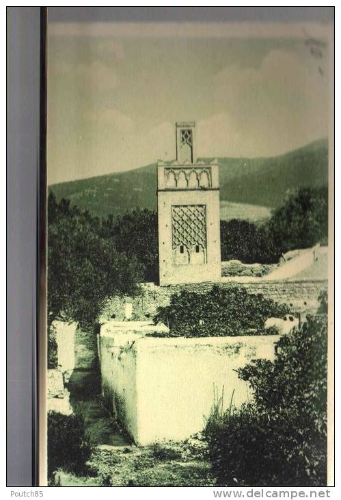 PORT GRATUIT    8400  TLEMCEN