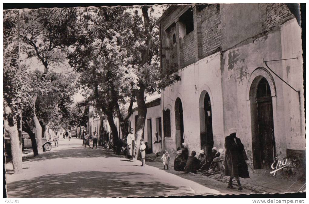 PORT GRATUIT    8300    AIN  M  MILA