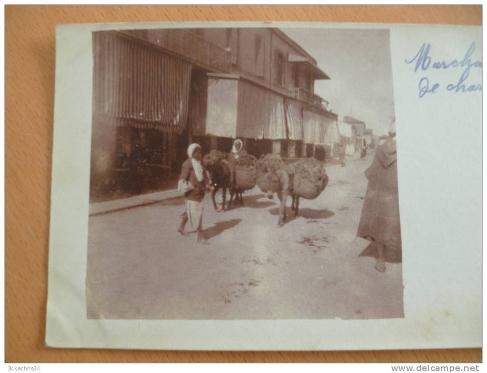 Carte photo Algérie. Tlemcen.Marchand de charbon.