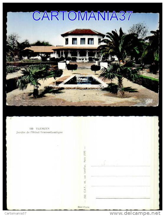 afrique-625      algerie tlemcen jardin hotel transatlantique