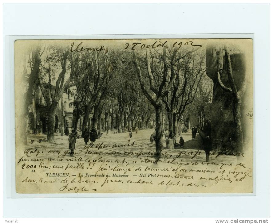 TLEMCEN   la promenade du mechouar