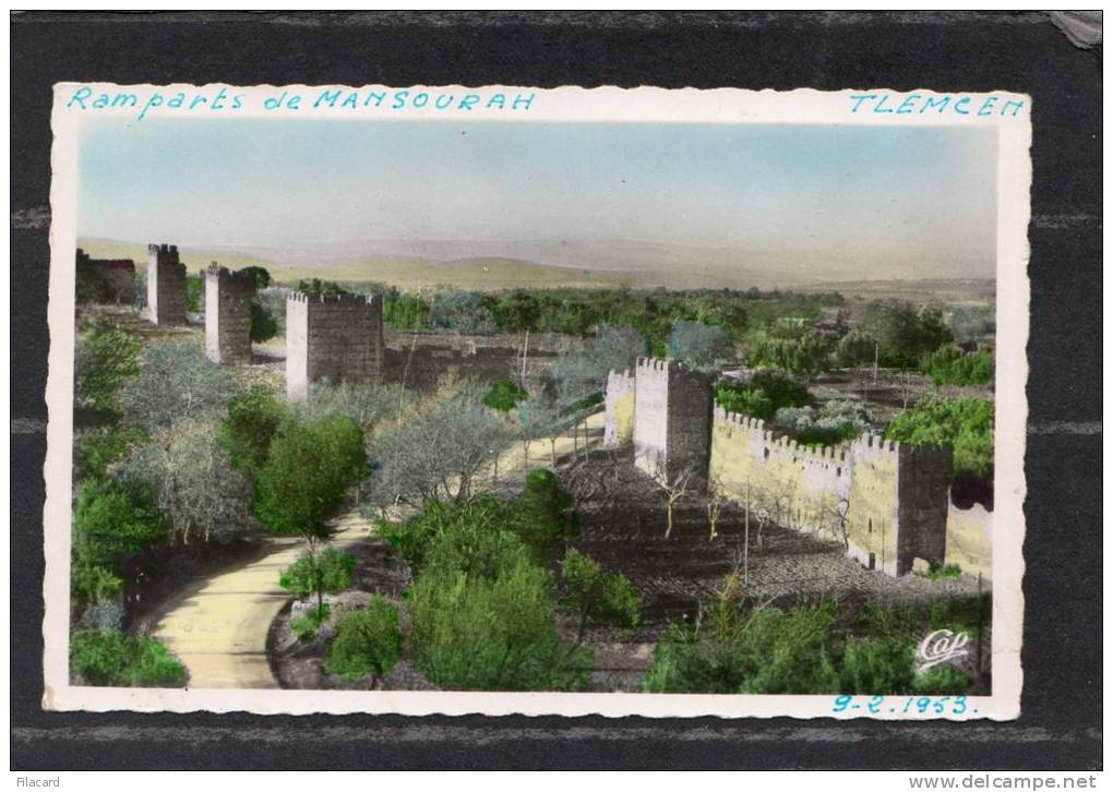 37021  Algeria,  Tlemcen -  Anciens  Remparts  de  mansoural,  NV(scritta)