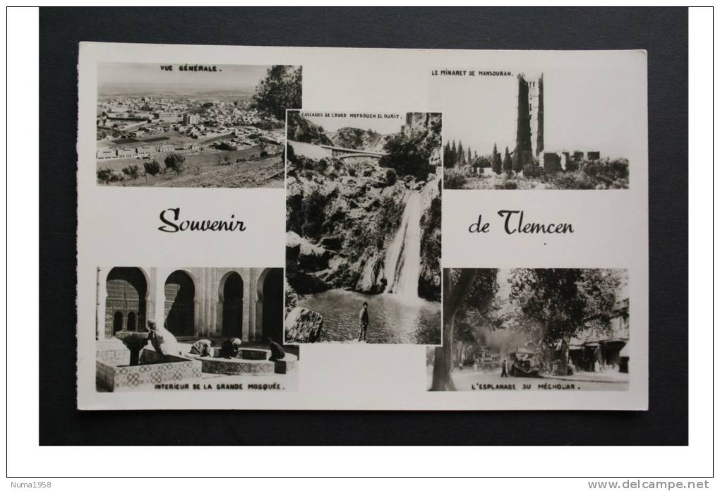 ALGERIE SOUVENIR DE TLEMCEN