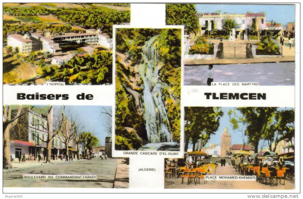 CPSM TLEMCEN (Algérie) - Baisers de....5 vues