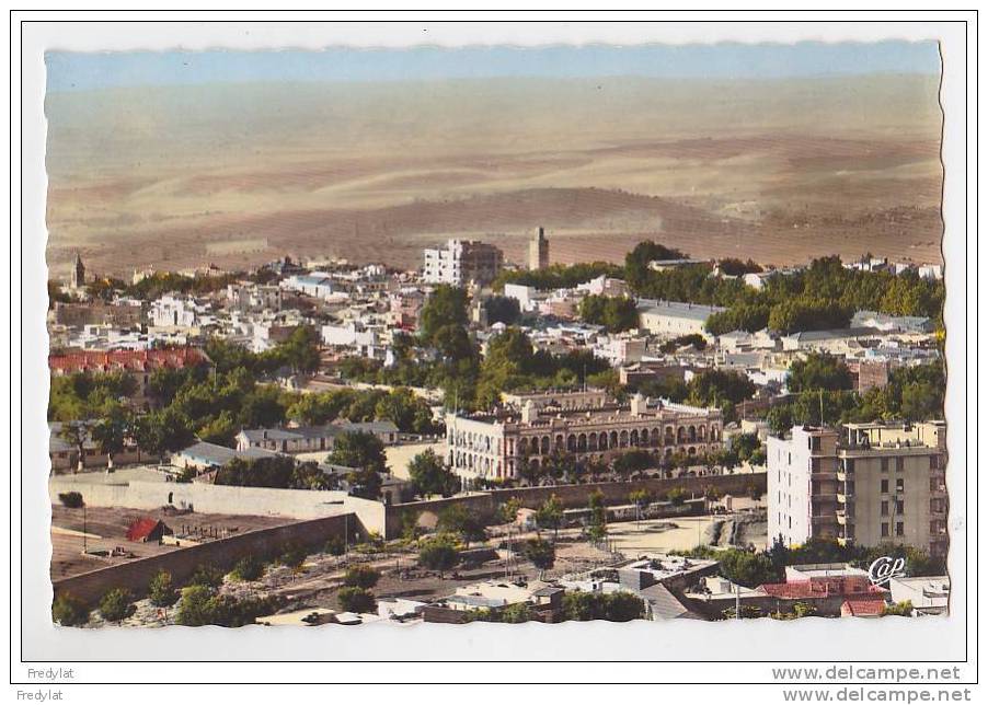 TLEMCEN   VUE GENERALE     CPA  CIRCULEE