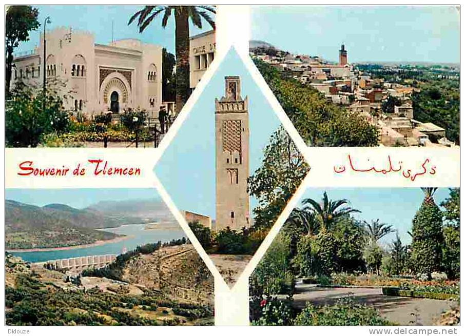 Algérie - Tlemcen - Multivues - Voir Scans Recto-Verso