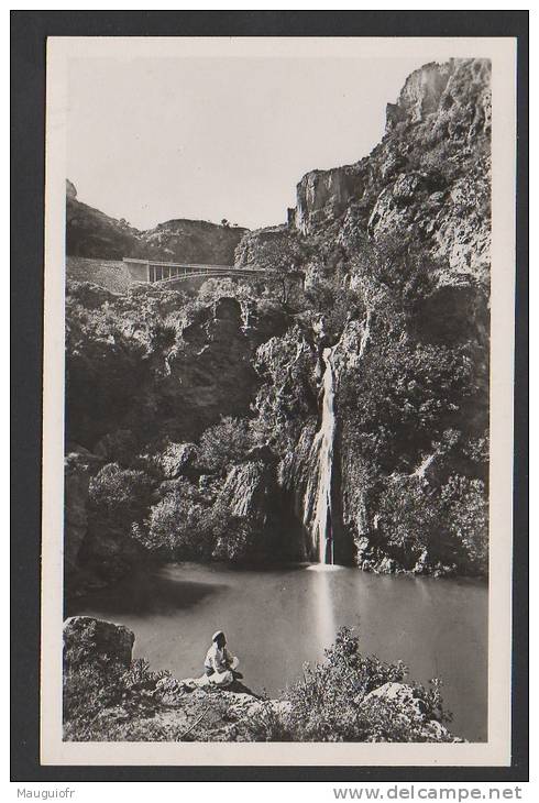 DD / ALGERIE / ENVIRONS DE TLEMCEN / CASCADE DE L' OUED MEFROUCH-EL-OURIT / LE BASSIN SUPERIEUR