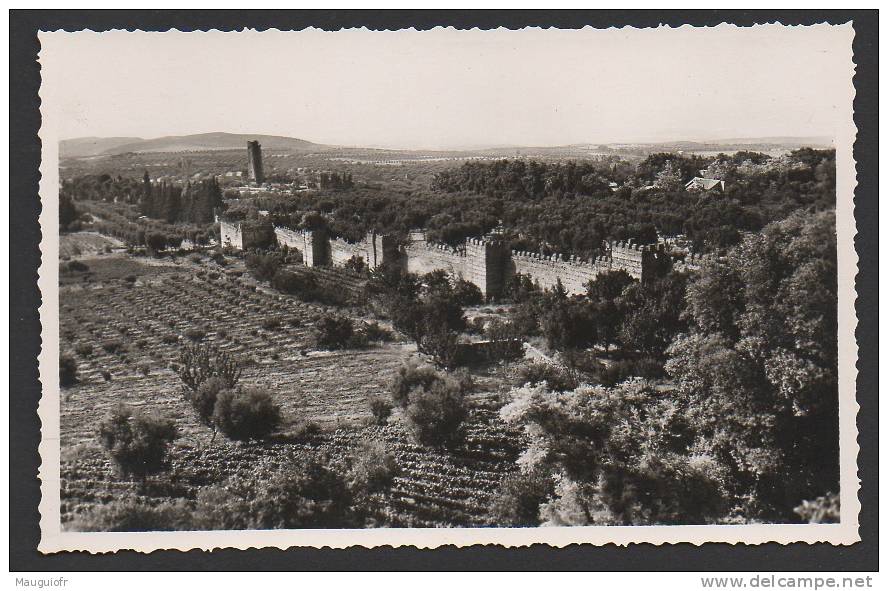 DD / ALGERIE / TLEMCEN / RUINES DE MANSOURAH